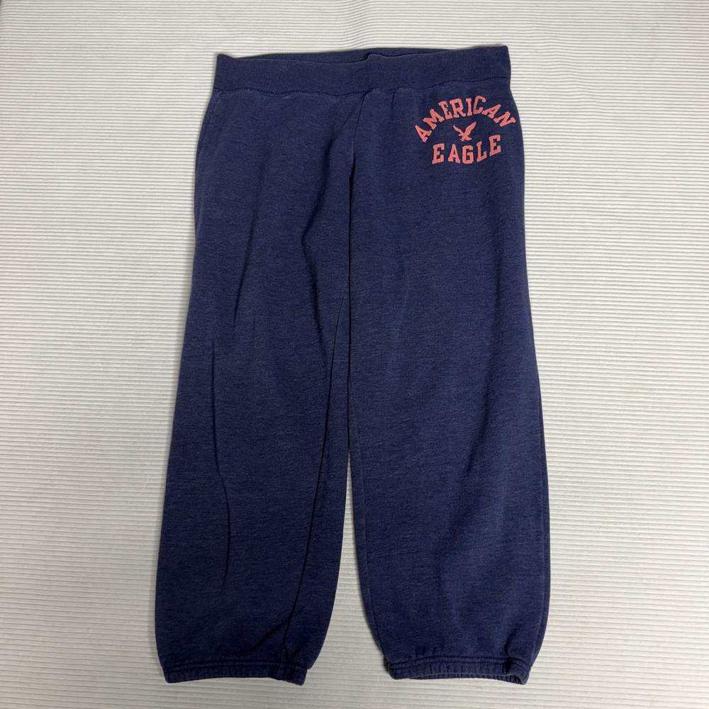 American Eagle Outfitters Pants Womens Large Blue Fleece Sweatpants Cuffed Logo